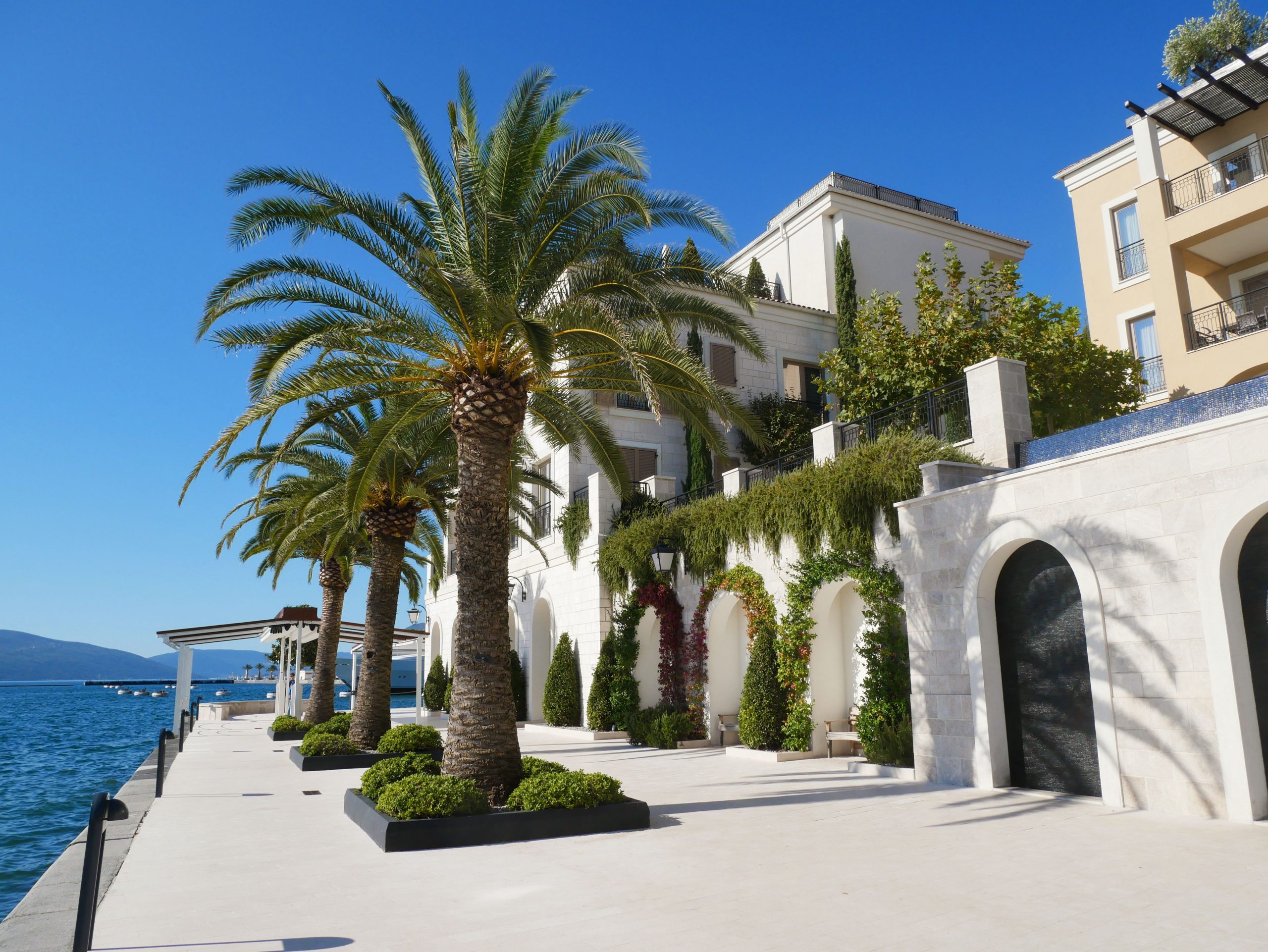 Beachfront Luxury Estate
